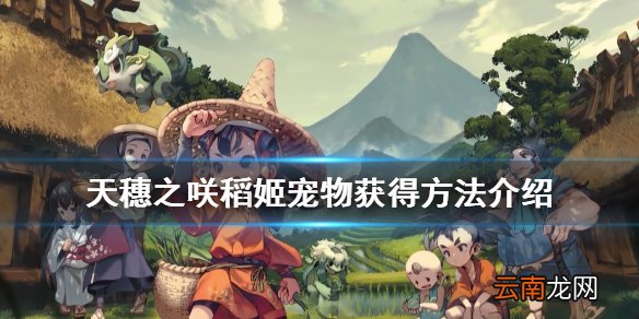 天穗之咲稻姬宠物怎么获得 天穗之咲稻姬宠物获得方法介绍