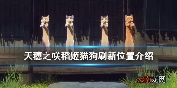 天穗之咲稻姬猫在哪抓 天穗之咲稻姬猫狗刷新位置介绍