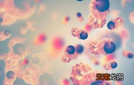 带状疱疹怎么治疗最快 疱疹是不是性疾病