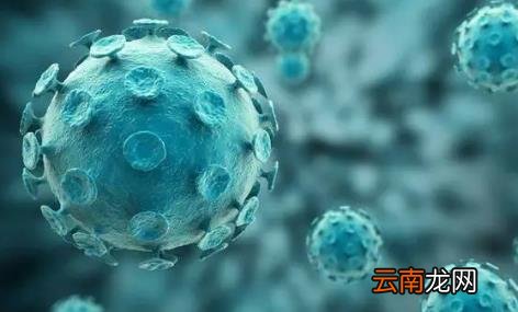 带状疱疹怎么治疗最快 疱疹是不是性疾病