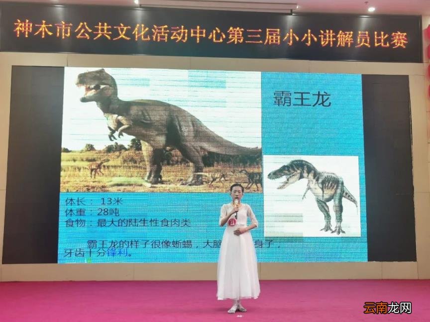中心快讯│神木市公共文化活动中心第三届小小讲解员比赛圆满落幕!