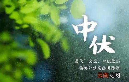 2022中伏是哪一天 2022年中伏是几月几号