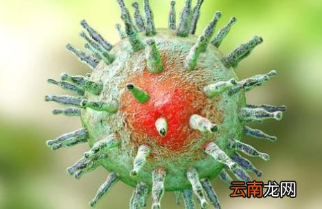 带状疱疹最怕三种菜你知道吗 疱疹三天自愈的最佳方法有哪些