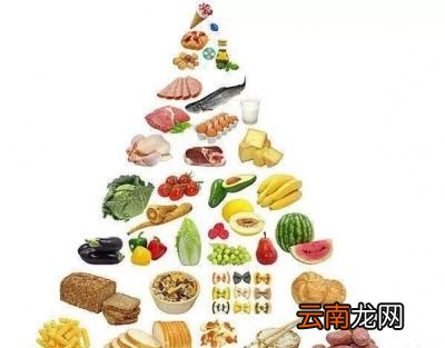 低脂高蛋白食物为什么能减肥