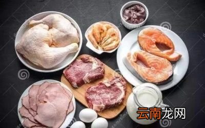 低脂高蛋白食物为什么能减肥