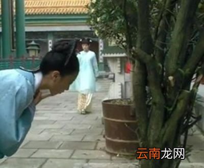 再来看甄嬛是怎样发现海棠树下的麝香的