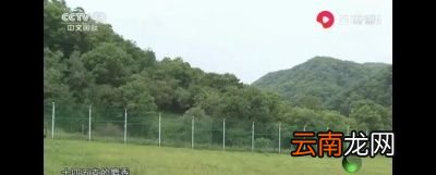 再来看甄嬛是怎样发现海棠树下的麝香的