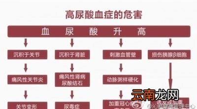 尿酸高有哪些要命的危害