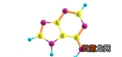 如何排出更多尿酸让尿酸不高痛风不犯