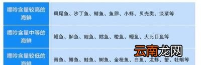 痛风患者可以吃多少食物