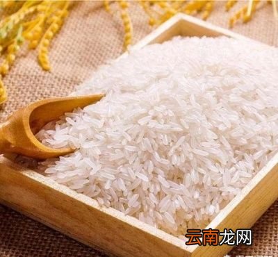 农村俗语“立夏落雨谷米如雨”是什么意思