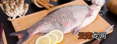 减肥就要多吃肉真的可以吗