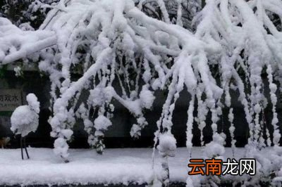 “冬至宜雨不宜晴”的说法有何含义