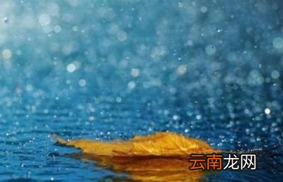 “冬至宜雨不宜晴”的说法有何含义