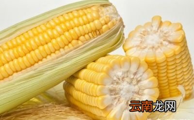 怎样减脂晚饭比较适合健康减脂