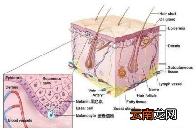 祛除 色斑的淡化方法有哪些
