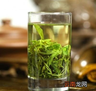 养肝护肝的茶有哪些