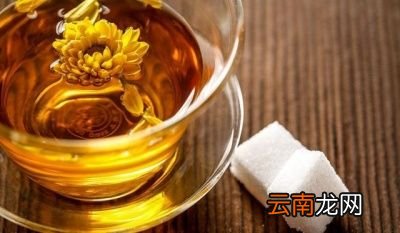 养肝护肝的茶有哪些