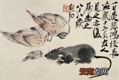 2月4号 为什么立春节气之后才能叫庚子鼠年