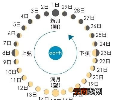 2月4号 为什么立春节气之后才能叫庚子鼠年