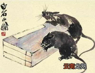 2月4号 为什么立春节气之后才能叫庚子鼠年