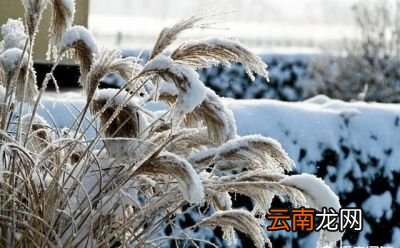 头九下雪好不好