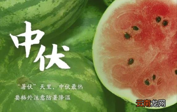 2022中伏多长时间 2022年中伏有多少天