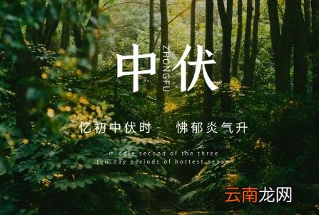 2022中伏多长时间 2022年中伏有多少天