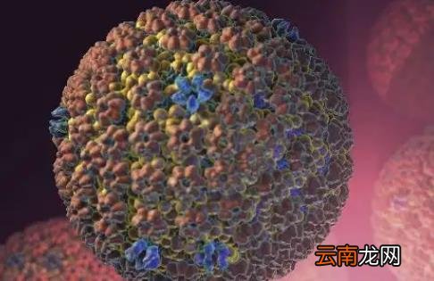 单纯疱疹为什么无法痊愈 单纯疱疹一辈子都不能康复吗