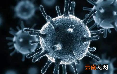 单纯疱疹为什么无法痊愈 单纯疱疹一辈子都不能康复吗