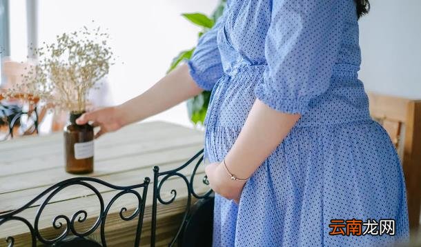 2022年7月怀孕2023年几月份生 2022年7月怀孕到明年什么时候生