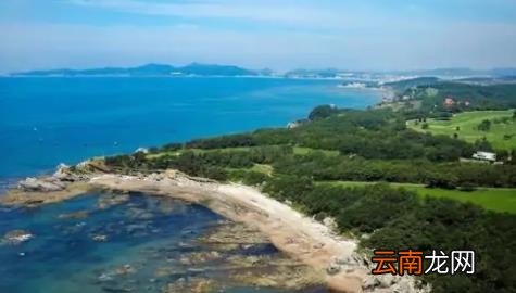 ?夏天放暑假去青岛还是大连 2022年大连和青岛夏天哪里更热