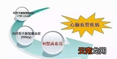 高血压患者三伏天早起时有什么禁忌吗