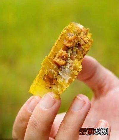 巢脾上的花粉变质后是什么样子的