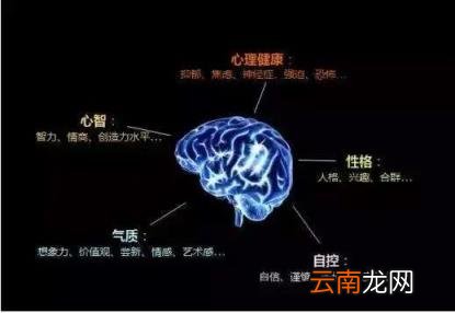 心理测量全国招生 |【测量】心理测量师线上/线下同步招生