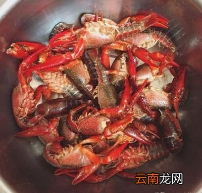 个方法小龙虾的鲜活度