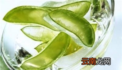 哪种芦荟可以美容
