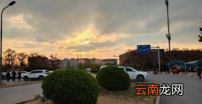 既然这么多的优点为啥还要断尾呢