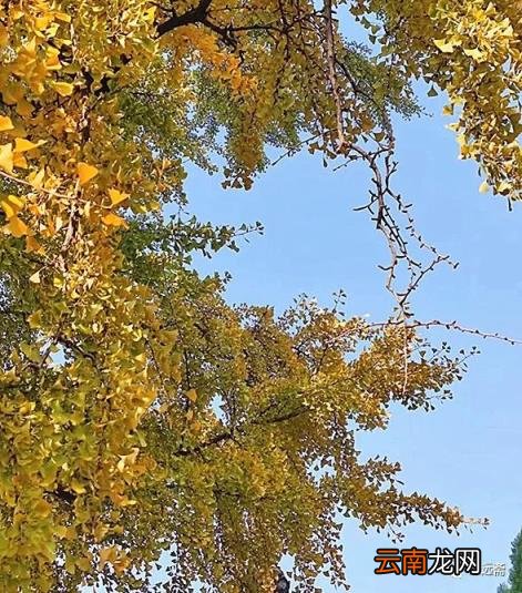 ?第1655期?【吟冬一暖】相处不累