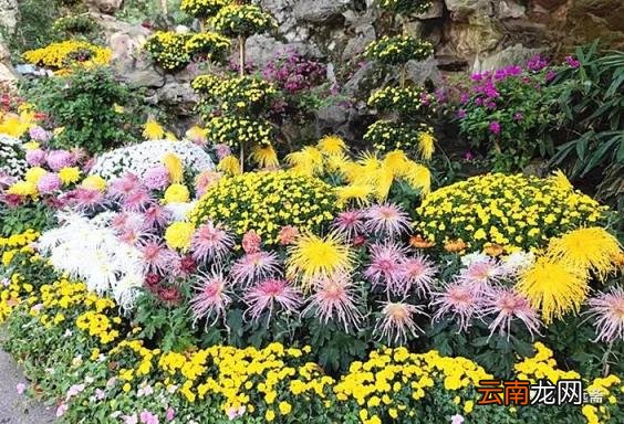 ?第1655期?【吟冬一暖】相处不累