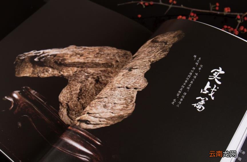 9年!从默默无闻到登陆央视,他坦言:人生佛系一些,很重要!