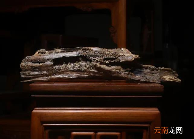 9年!从默默无闻到登陆央视,他坦言:人生佛系一些,很重要!