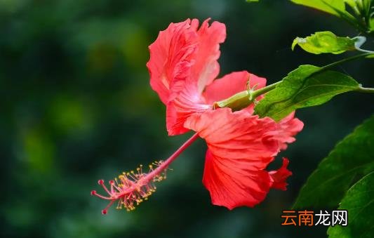 2022年7月有什么特殊的日子 2022年7月有什么节日和纪念日