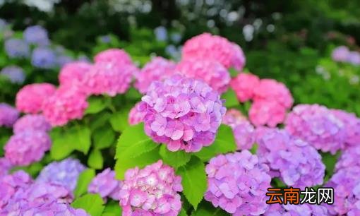 2022年7月有什么特殊的日子 2022年7月有什么节日和纪念日