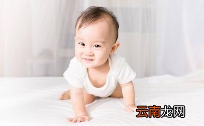 一岁左右的宝宝一天的食量是多少