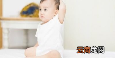 一岁左右的宝宝一天的食量是多少