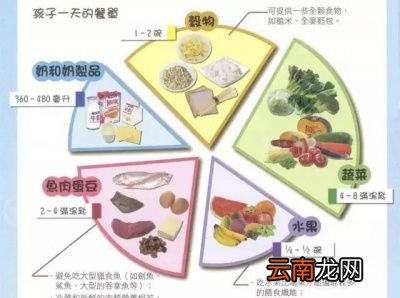 宝宝一天吃几餐