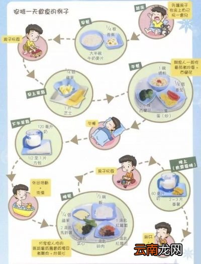 宝宝一天吃几餐