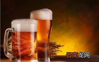 常喝啤酒有什么坏处常喝啤酒有哪些危害