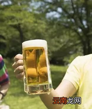 常喝啤酒有什么坏处常喝啤酒有哪些危害